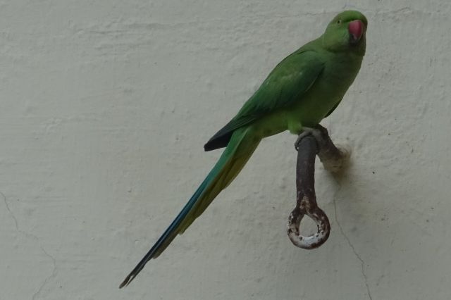 Chennai